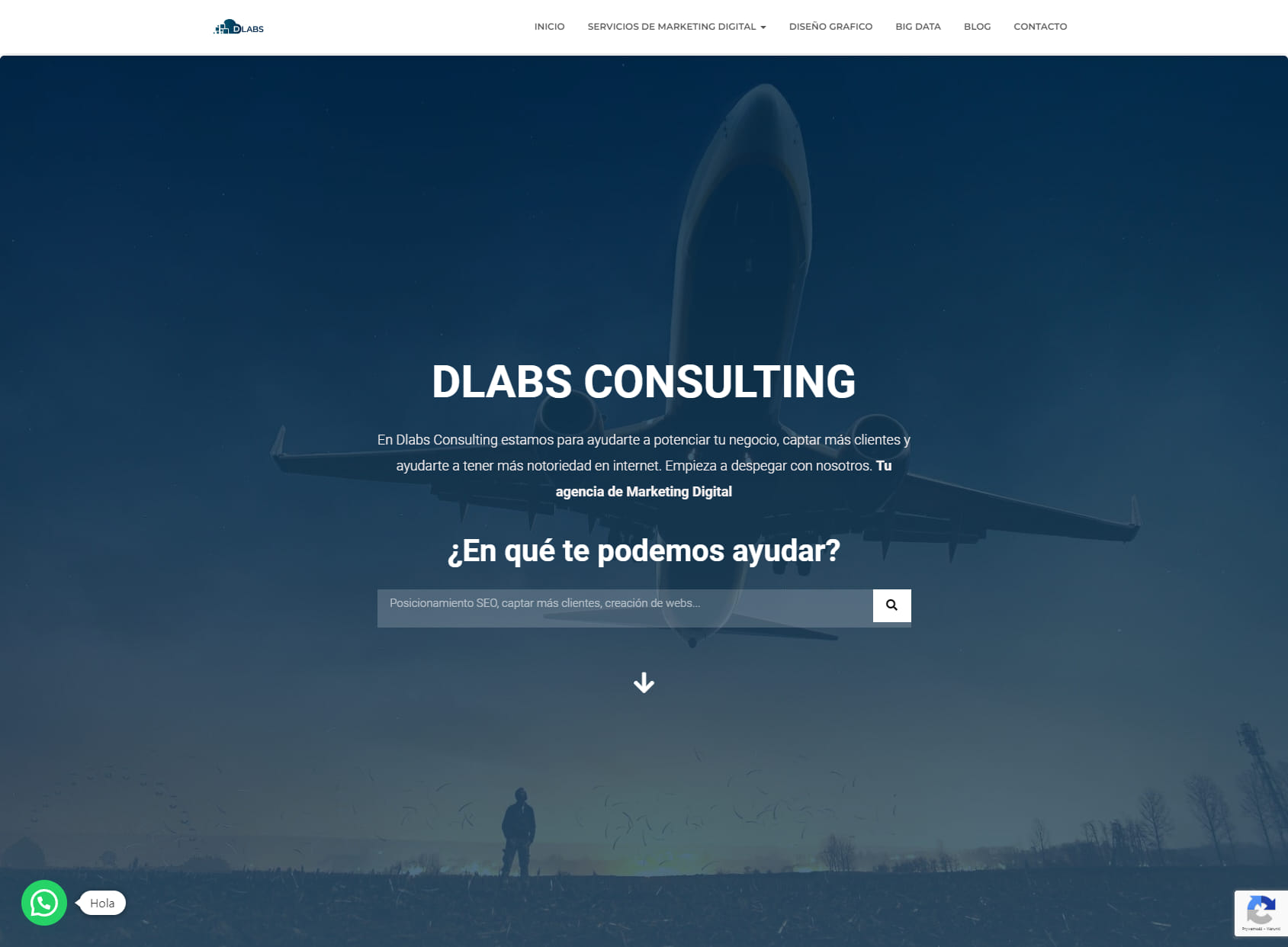 Dlabs.Consulting
