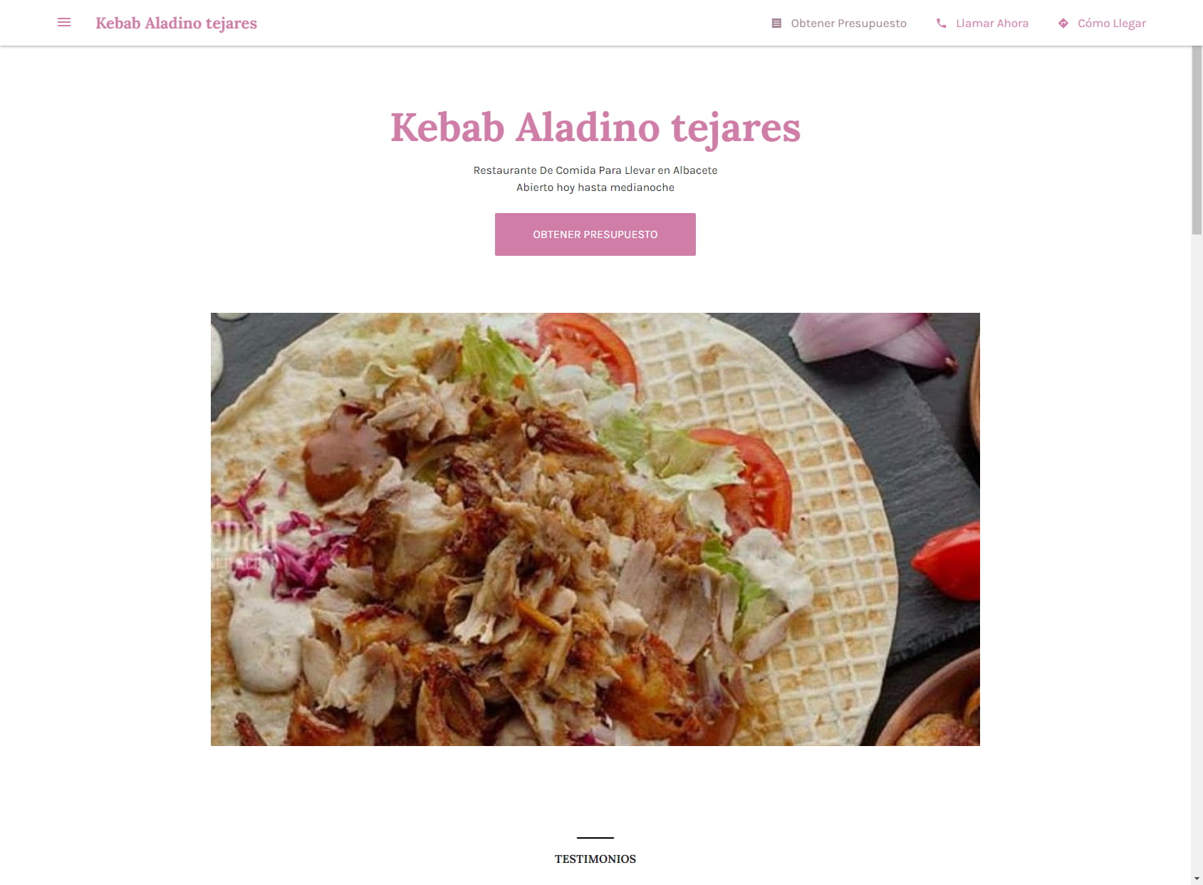 Aladino Kebab & vegetarian food.