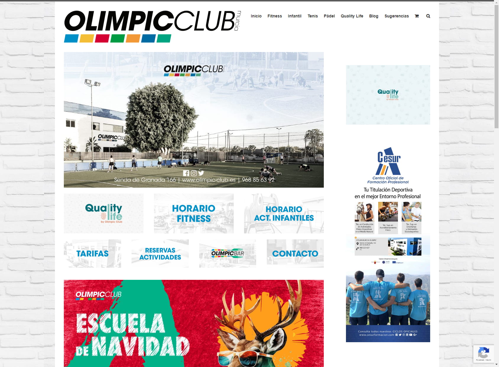 Olimpic club