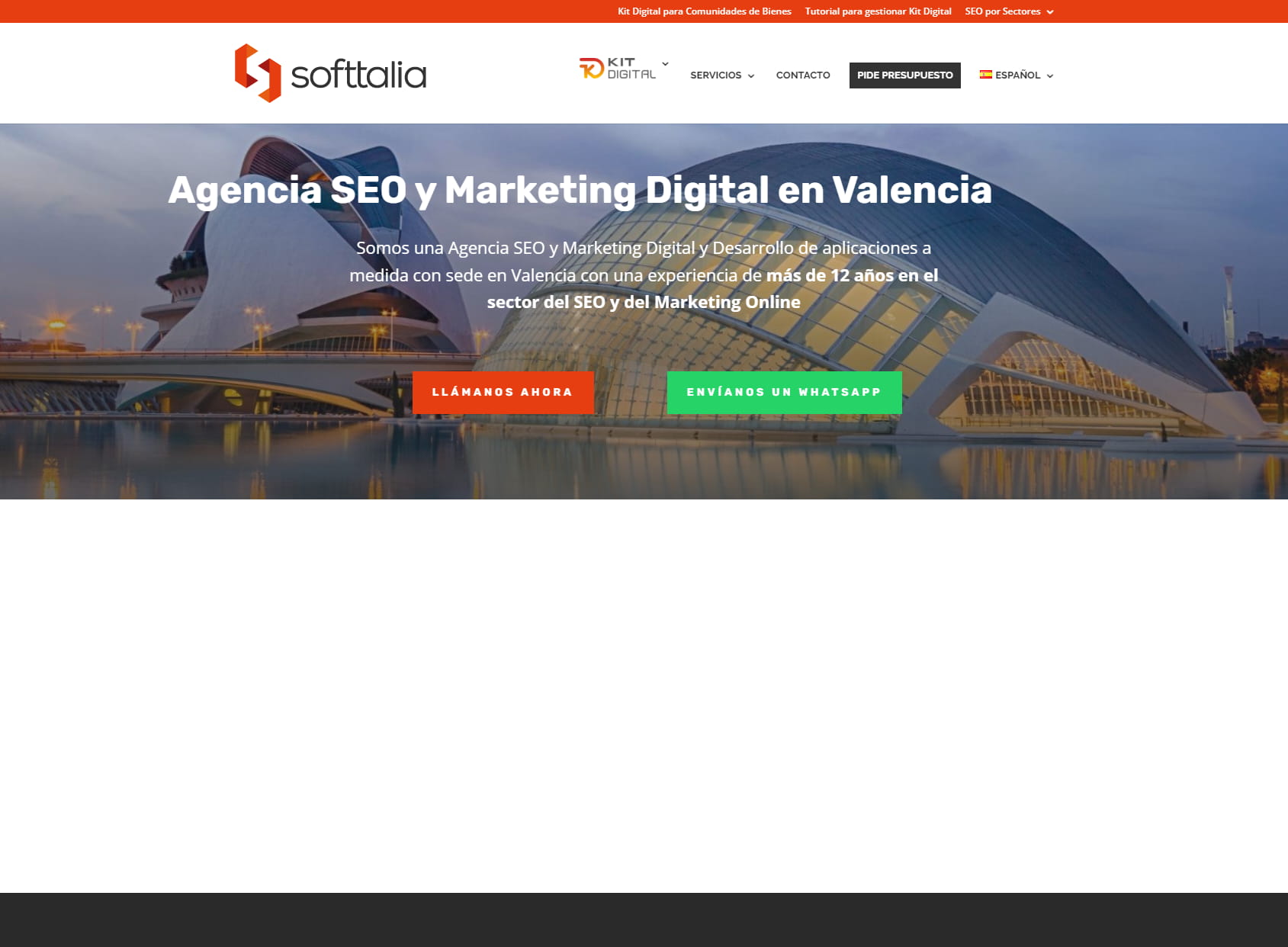 Softtalia SEO & Marketing B2B