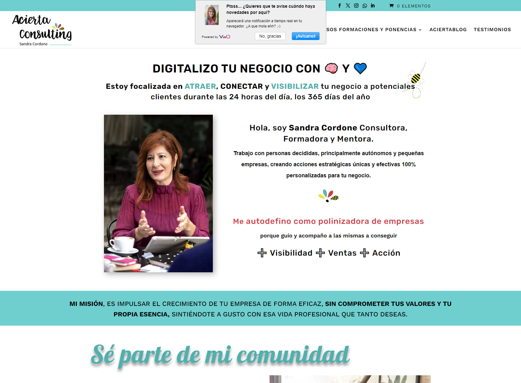 Sandra Cordone - Acierta Consulting