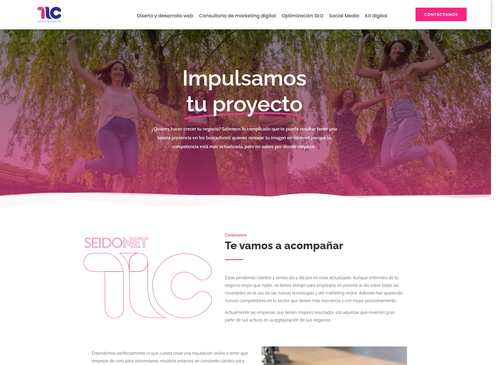 PAGINAS WEB - CONSULTORIA - Marketing digital - Agencia de Marketing
