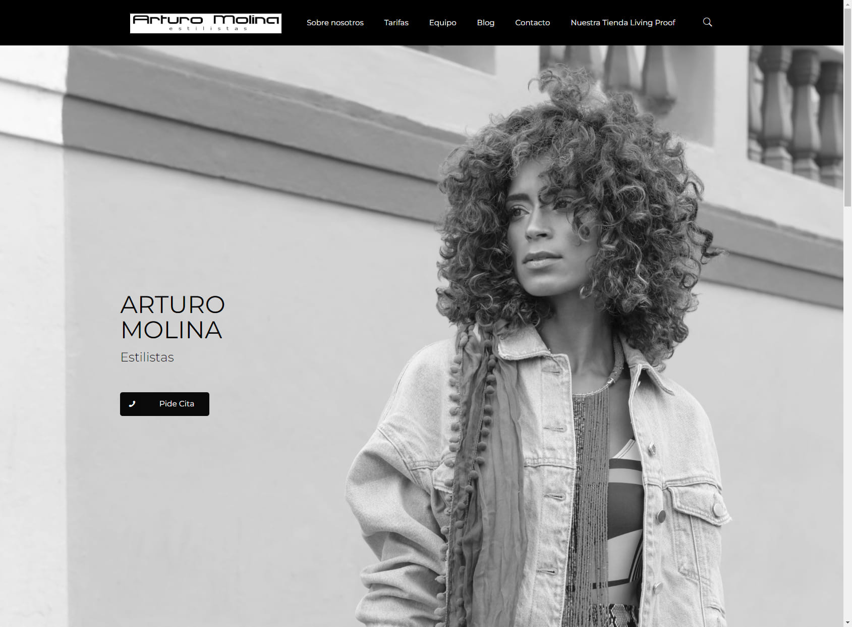Arturo Molina stylists
