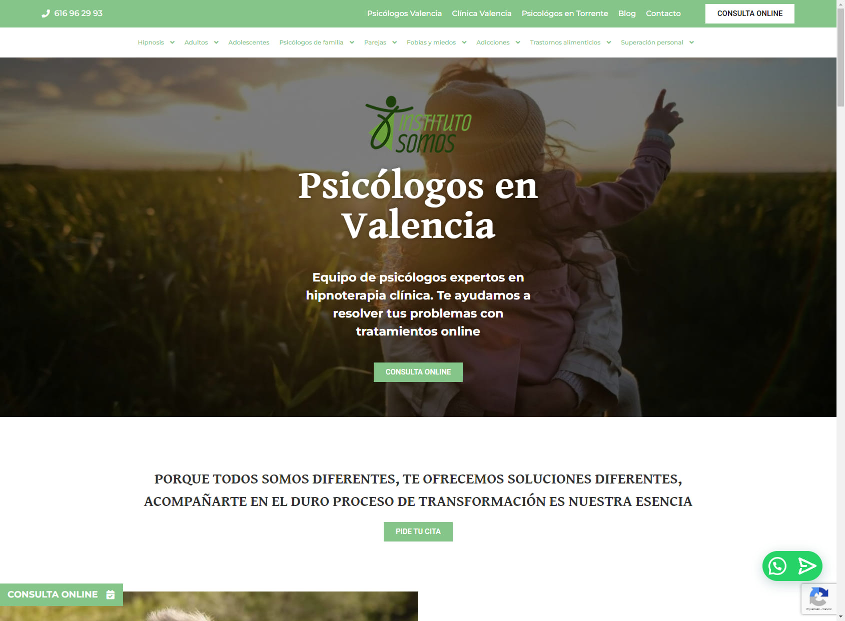 Instituto Somos | Psicólogos en Valencia